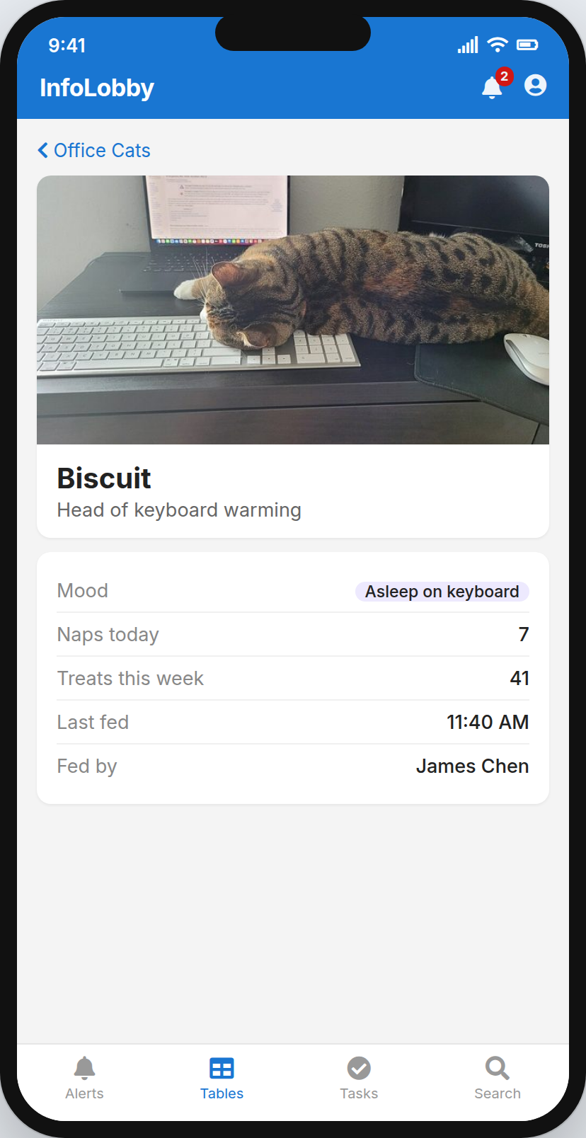 A cat record on a phone: Biscuit, asleep on a keyboard, with naps, treats and who fed him last