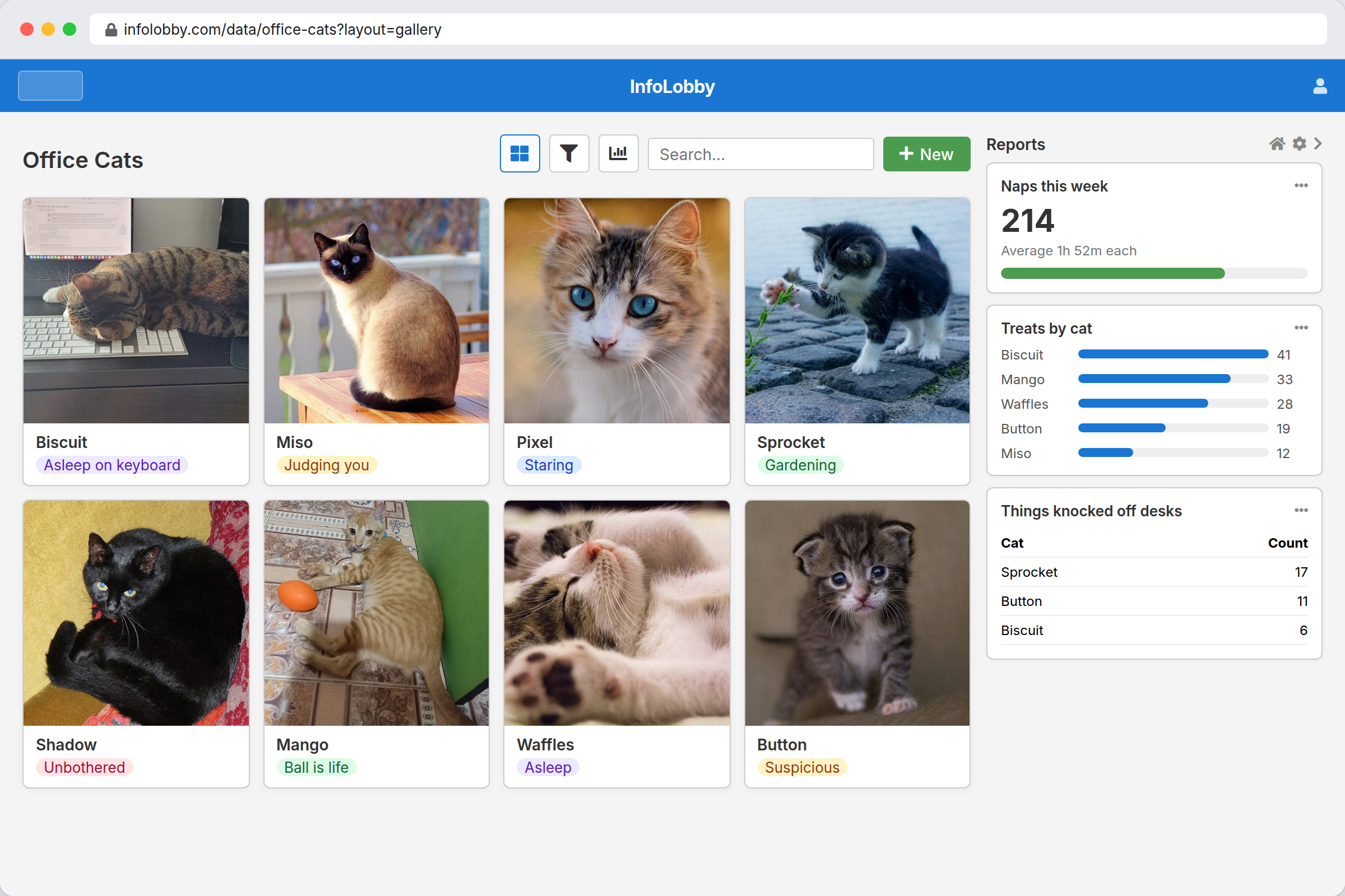 An Office Cats table in InfoLobby gallery view: eight cat photos with names and moods, beside report tiles for naps this week, treats by cat and things knocked off desks